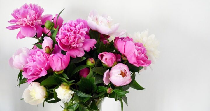 Hy-Vee Floral: Elevating Your Event with Stunning Blooms